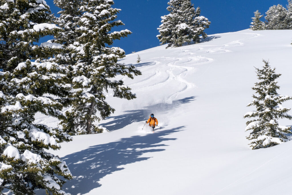 Introduction to Backcountry Skiing