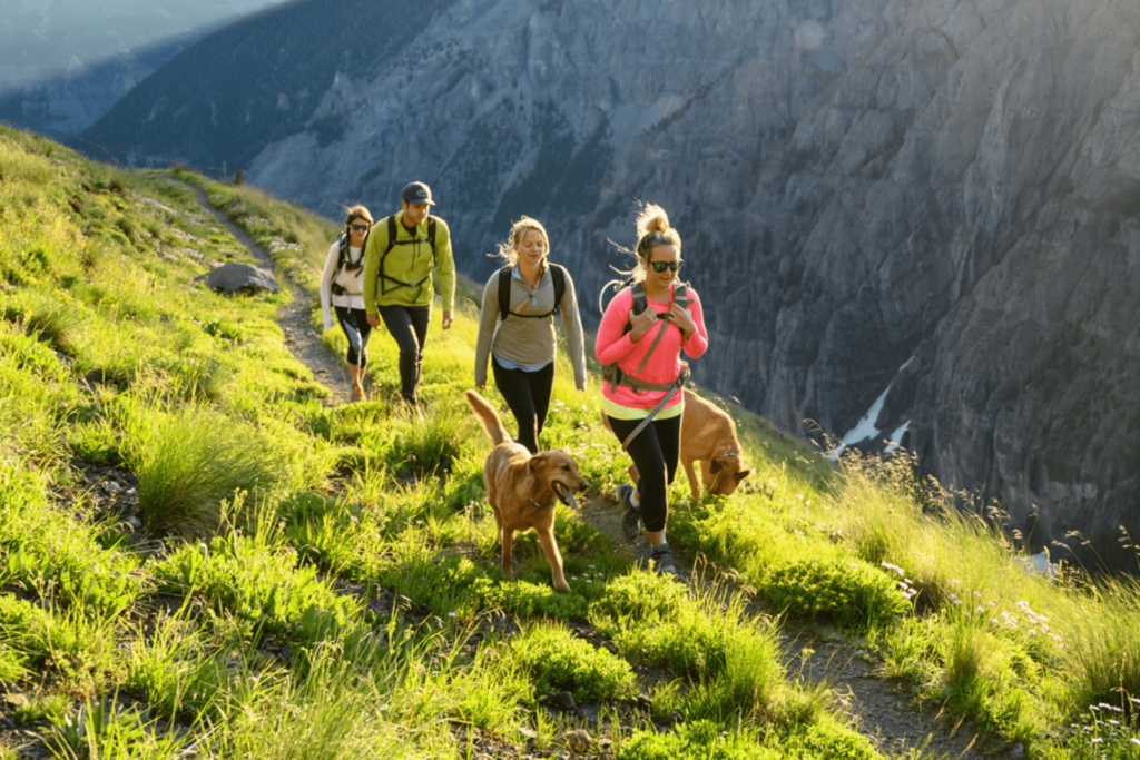 Summer in Telluride is Colorado at its Best