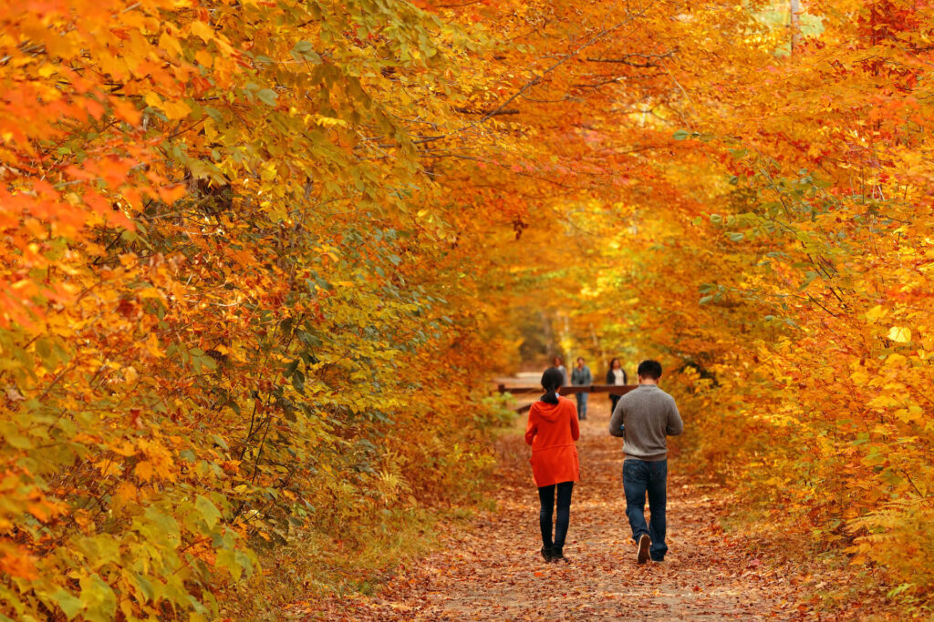 Couple walking down trail lined with colorful trees