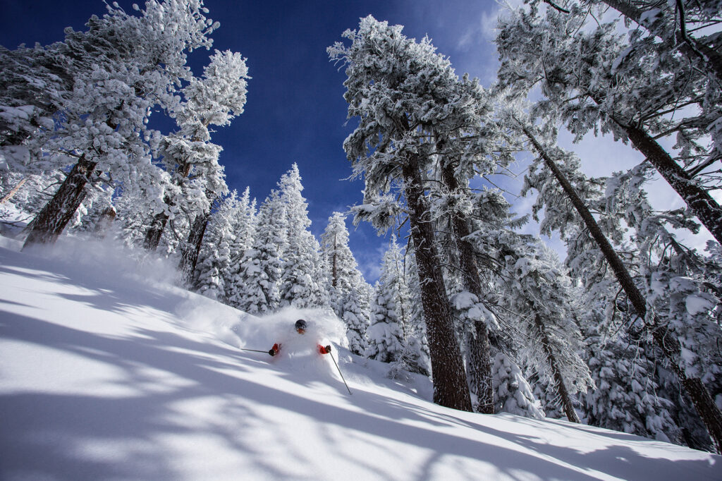 Skiing through powder on a bluebird day in the backcountry of Mammoth Lakes