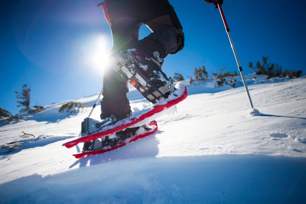 Der perfekte Stock zum Schneeschuhwandern