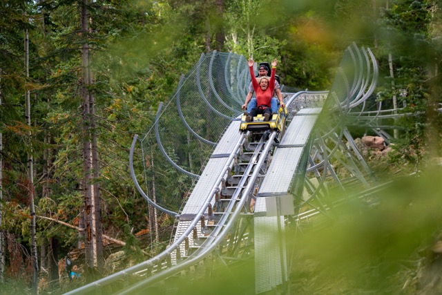 Beliebte Sommerrodelbahnen für die ganze Familie