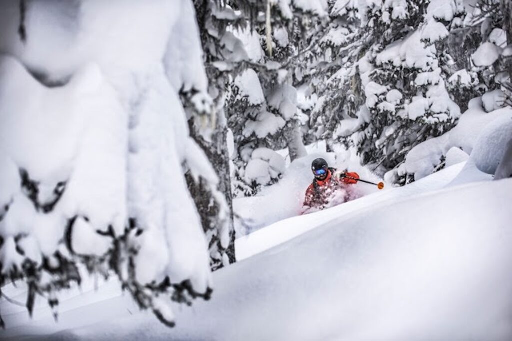 Les différents types de neige