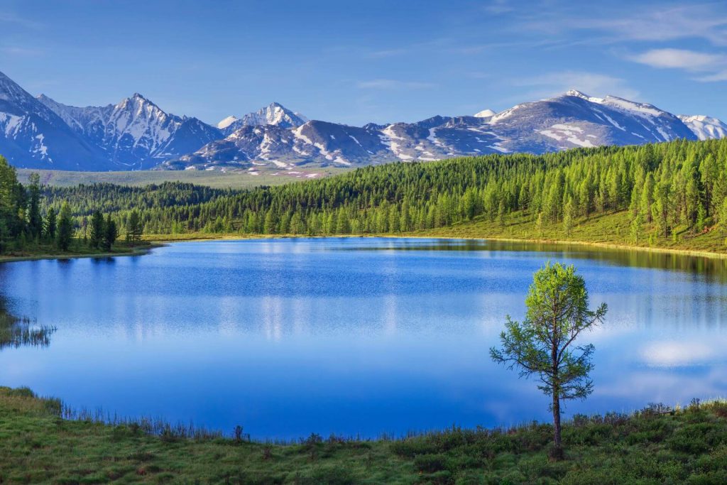 10 motivi per scegliere la montagna d’Estate